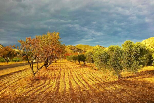 Provence autumn