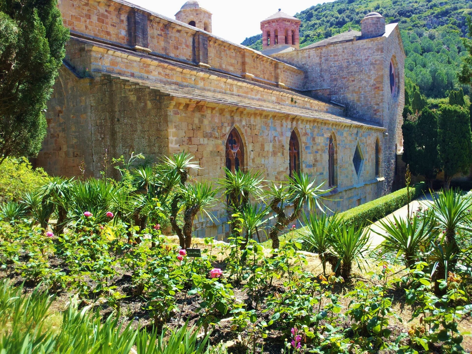 Languedoc Occitanie Tour France Wine Tour Best Of France